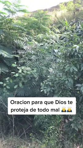 Oracion para que Dios te proteja de todo mal #pyf #parati #pastorbreilyndelacruz #eliaspiña