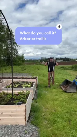 Lets make .. what do you call it?? Arbor or trellis? #garden  #gardening #farmlife #fyp #gardenproject #diyproject