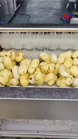 #washing #kentang #mesin #foodmachinery #cutter #cut #washingmachine #foodprocessor #kulit #potato #fruit #kentang🥔