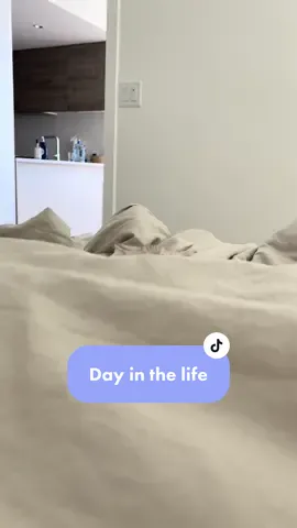 Day in the life of figgy boy #funnycats #kittensoftiktok #catsoftiktok #dayinthelife #funnypets #scottishstraight