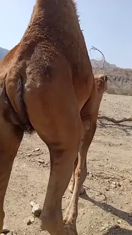 اذكروا الله ❤️ ماشالله تبارك الله ❤️❤️##