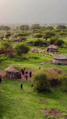 Village in Africa. Follow to see more of Earth and all it's inhabitants #village #africa #drone #aerial #sheep #farming #earth #nature #peace