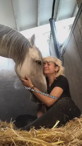 captured this precious moment #fyp #viral #horse #horses #horsegirl #equestrian #horselove #supportanimal #MentalHealth #recovery #bpd #horseriding