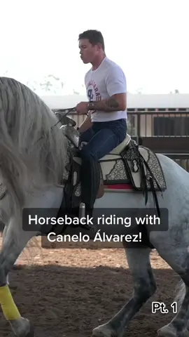 Canelo… champion boxer AND horse whisperer?? #canelo #boxing #mexico #horse #training #dancing #guadalajara #champion #boxer