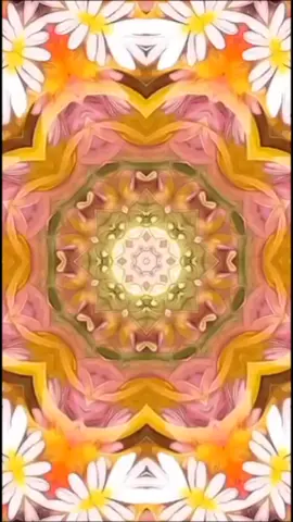 @黄秀雲 [ACRO] ni C hera 🚀 | HOUSE MUSIC - WO TE CIAO AU