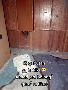 10 menit cuma nunggu hewan  satu ni,,, yg bikin rusuh tiap malem, brisikkk, bikin ancur lemari sama perabotan lain aja.. #afilliate #pejuangflks💪💪😍😍 #tiktokpelit #flksyaguys🥰biarrame🥰
