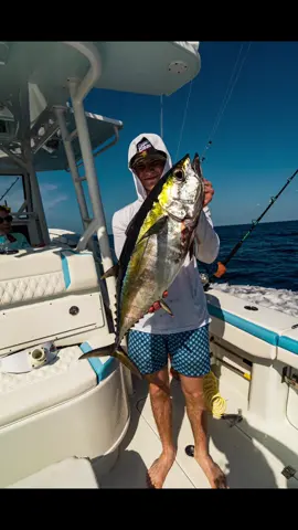 About to land in Cape Eleuthra, Bahamas. More fish to come. #fish #fishing #fishtok #offshore #shark #tuna #snapper #diving #florida #bahamas