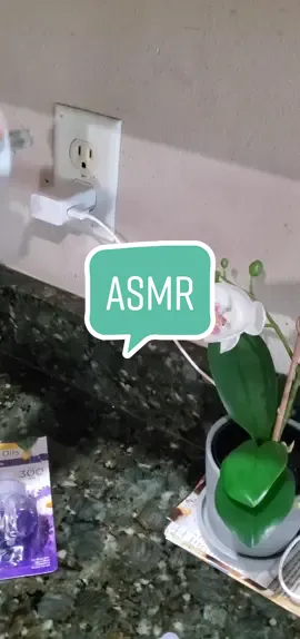 #asmr #asmrsounds #asmrvideo #fyp #foryoupage #floridablogger #fypシ
