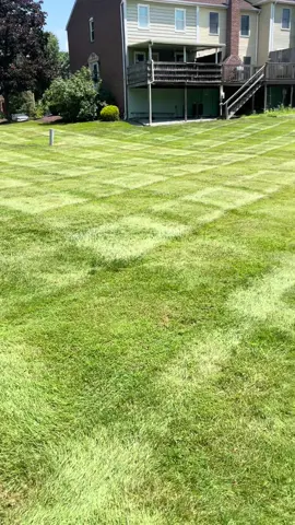 What he said 😂 #hustler #fyp #mowing #lawncare #stripes #beckthebeast #addicted #healthadepopit