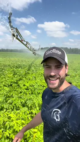 Thirsty Potatoes! #farmtok #farming #potatoes #surrey #foodsecurity #canadianfarmer #foryou