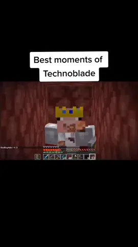 Great respects to Technoblade's Family. A great man died Today, but that doesn't he has. 