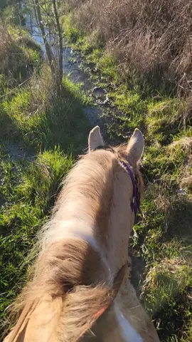 seems to be a catch 22 to me.. damned if you do damned if you dont.. #loselose #loselosesituation  #government  #control #protectyourrights #mybody #mybodymychoice  #circumstantial #america #goingtoshit #horsegirl #cowgirl #equestrian #gelding #trending #trailride #myhappyplace #standup #standupforyourself  #dontgiveup #womenrights #abortion  #rowandwade #childhood  #governcontrol  #politics  #roevwade  #themoreyouknow