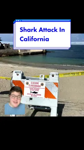 Do you think it’s deep blue? #greenscreen #sharks #california #sharkattack #beach #news #education #sharkscontent