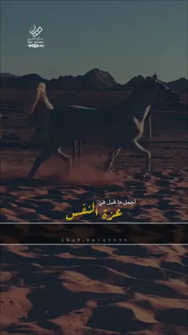 نموت ماناكل من الطايح تمر 👌🏼👌🏼✔️ ..  قناتي بالبايو