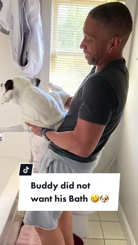 Buddy did not want his bath 🤣🤣🤣 #dogdad #dogsoftiktok #dogbath #doglover #fyp