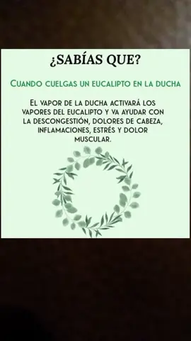 #sigueme #comparte #comenta