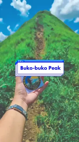 Daytime hike. #aesthetic #fyp #tiktoktravel #xyzbca #aestheticvideos #adobepremiere #cinematics #videography #nostalgia #gopro #fypシ #fypシ #nature #videographer #s21ultra