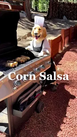 Snaccs are a lorge part of Dad’s diet. #snaccs #cornsalsa #chefsoftik #dogchef #bbq #4thofjuly #holiday #dogsoftiktok @Nexgrill