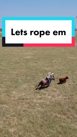 Here is another Take A Pick son we are liking. Roping is used everyday in the US. We use it mostly for doctoring sick cattle or helping a calf get back to the right side of the fence. #roping #ranching #ranchtok #aqhaproud #dronevideo