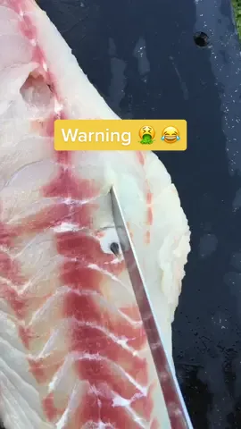 Throw back to to our previous life reef fishing pre sapphire life. #fyp #foryou #fishtock #gross #pimplepopper #wtf #aliens #viral