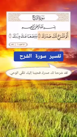 سورة_الشرح تفسير الآيات المختصر في تفسير القرآن الكريم #في_دنيا_الإسلام (تفسير اية آية) #QURAN #لا_اله_الا_الله #quran #القران #القرآن #قرآن #قران #اللهم_صل_وسلم_على_نبينا_محمد