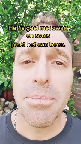 ja dus? als jij een betere weet, hoor ik het wel!#mop #grappig #humor #jajajurgen @.moemert01 @aad_natascha