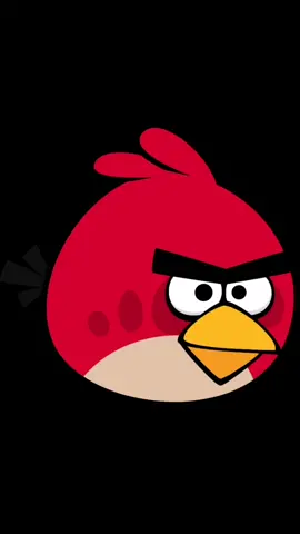 Angry Birds Names and photos