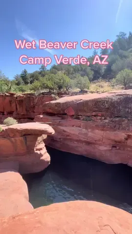 Water hikes in Arizona😍 📍Wet Beaver Creek near Camp Verde, AZ in Coconino National Forest. This was a 7 mile out and back moderate hike! 🥾