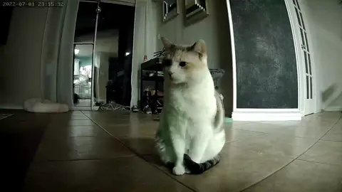 Why did she not move out of the way
