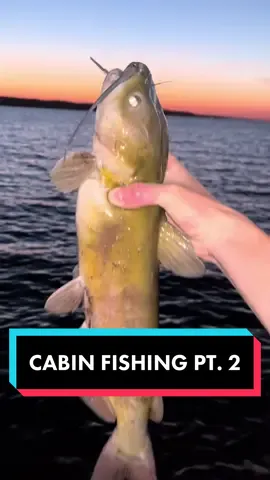 Reply to @jaseonyourcase DAY 2 WAS A MOVIE 🎥 #fishing #nebraska #southeakota #catfish #gar #Outdoors #nature