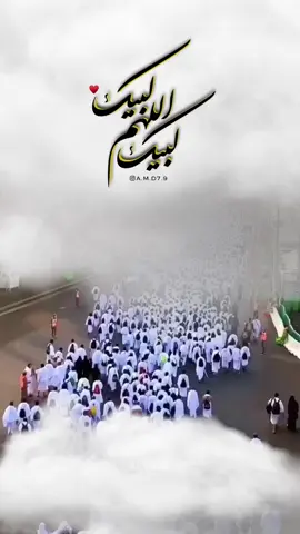 #انا_لست_في_الحجاج_يارب_الورى