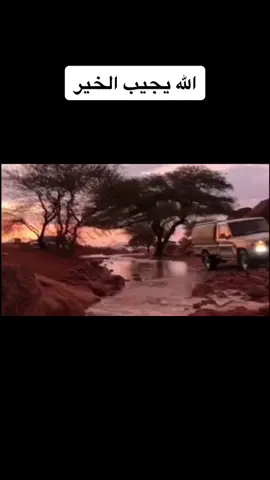 #الأمطار #السيل #المطر #الربيع