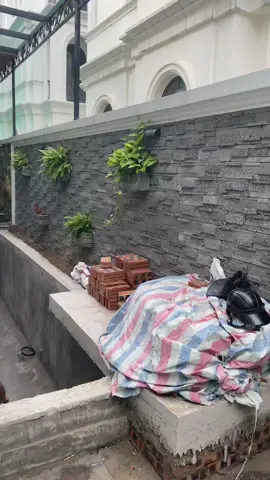 Cải tạo hồ koi.