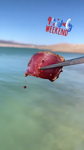 Seared Ahi Tuna on 4th of July! #boat #ahi #tuna #searedtuna #lake #outdoorcooking