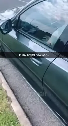 #meme #foryou #funnyvideos
