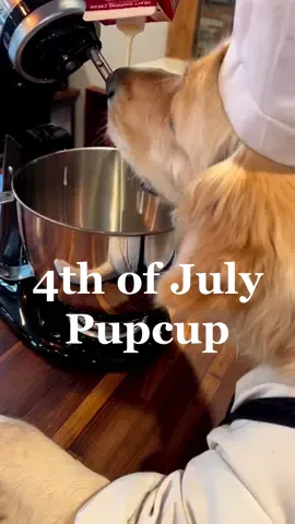 Just a true American Pupper making a Puppuccino to celebrate 4th of July!@kitchenaidusa #4thofjuly #july4th #fourthofjuly #puppuccino #pupcup