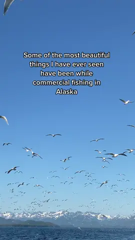 So lucky to live this life