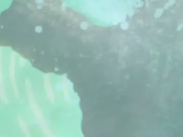 #rideyourwave #anime #animetiktok #foryoupage #fyp