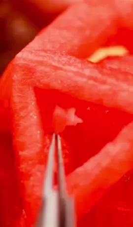Đỉnh cao tỉa dưa hấu #watermelon #huongdan #DIY #creative #satisfying #viral #tipsandtricks #hacks #foryou #asmr #fyp #foryoupage #LearnOnTikTok #xuhuongtiktok #trending