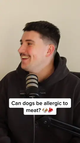 The vegetarian dog #fyp #jamoanddylan #dogs #vegetarian