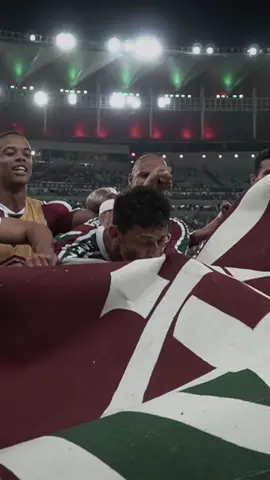 Um momento inesquecivel! #Fred #Fluminense #Brasileirão