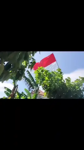 #bali #sanur #scooter #dayride #baliliving #scoopymodifikasi #indonesia