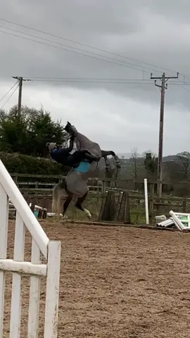Hoppingg on the trend #horse #horsetok #eq #horseriding #equestrian #equestrianlife #equestriansoftiktok #horsefail #horseridingfail #ridingfail #horselover #horsesoftiktok #horseridingfails