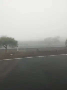 Yendo a Chancay desde Lima, vibra Silent Hill en este camino #niebla #espantoso #callesdeperu