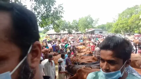 বাইশগাঁও বাজার.! 5/6/2022#foryou #bdtiktokofficial #🐂 #viral #tiktok #ashikur352 #🤲