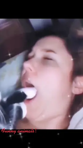 #funnyanimals #funnyvideos #dag#cat