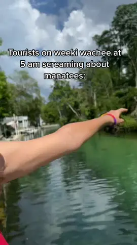 4th of july weekend was rough #weekiwachee #manatee #tourism #florida #riverlife
