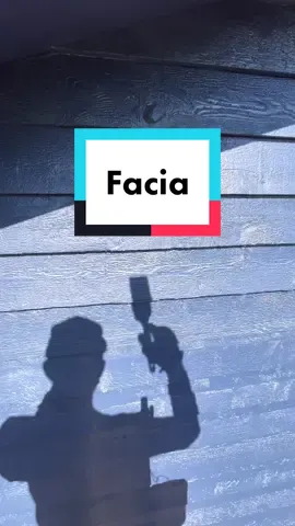 🏚 Exterior painting - facia board #fyp #exteriorpainting #DIY #housepainting