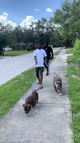 Fake Dog Bark Prank almost went wrong 😂😂😂 i was running (forest gump voice) #foryou #dogprank