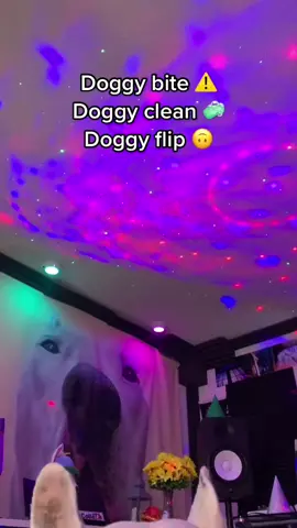 This sound just for the dawgs